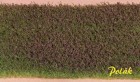 Polák Model 5973 Luční květy - fialové 